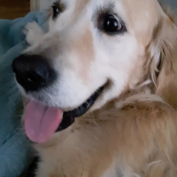 Meet your Posher, Leslie - Picture 5 of 8